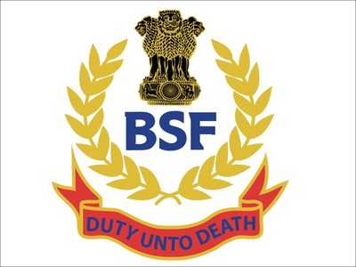BSF Recruitment 2019 : 135 Assistant Commandant Posts