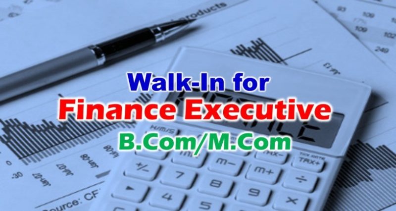 Looking For Finance Executive in Focus Management Limited