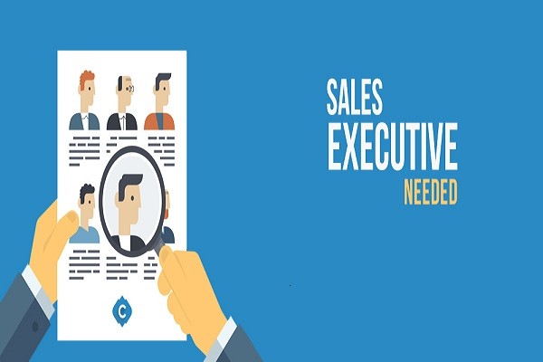 Sales Executive Needed in Top Company