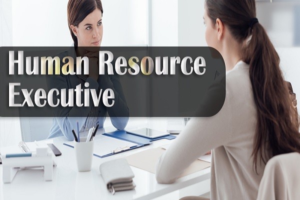 Hiring HR Executive in Guitcom Consulting Pvt Ltd