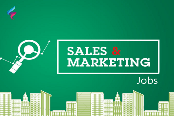 Sales and Marketing Executive Recruitment