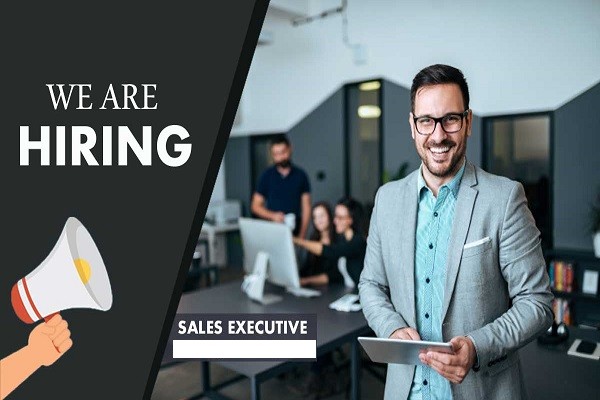Hiring For Sales Executive Job
