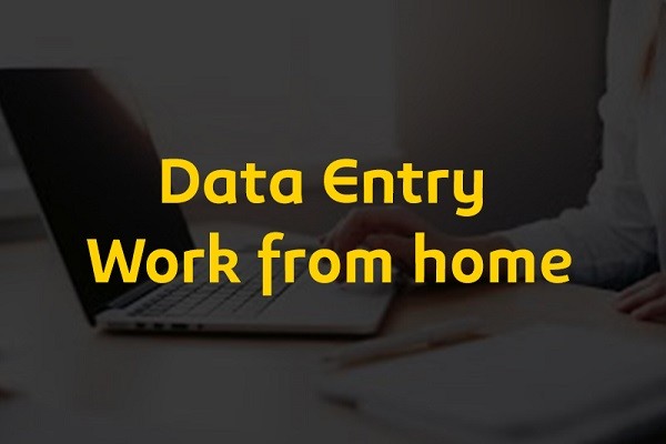 Work From Home Job - Data Entry Job
