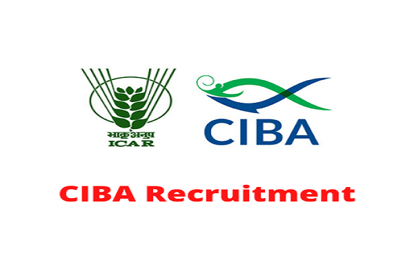 CIBA Senior Research Fellow Recruitment 2022