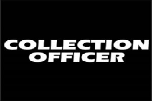 Hiring For Collection Officer
