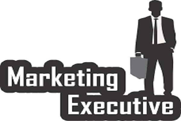 Hiring For Marketing Executive