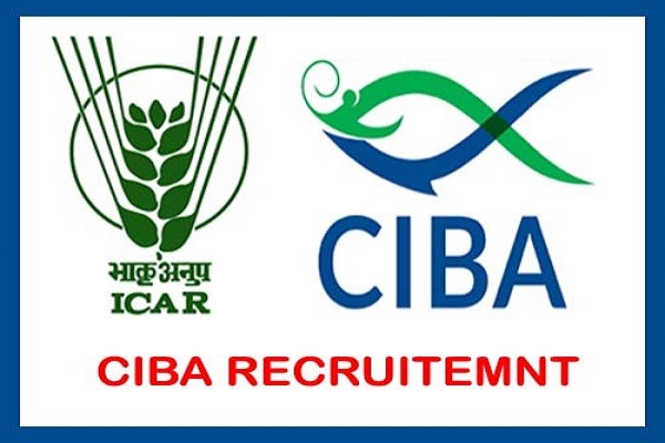 CIBA Young Professional I Recruitment 2022