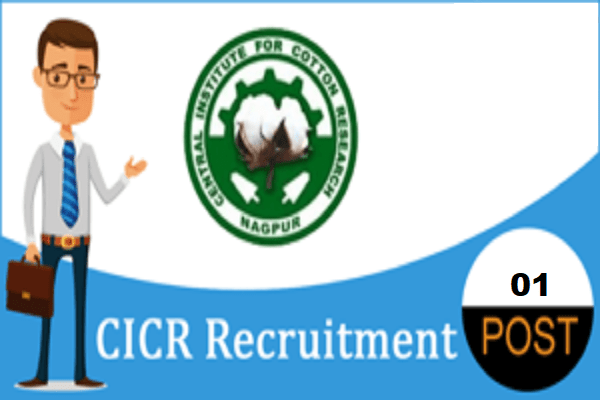 CICR Senior Research Fellow Recruitment 2022