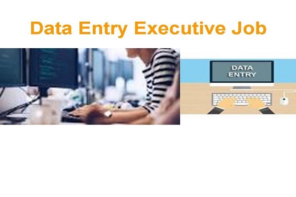 Hiring For Data Entry Executive