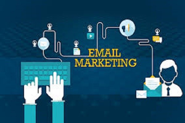 Wanted Email Marketing Executive