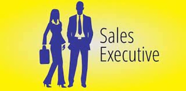 Recruitment for Business Development Executive/B2B/IT sales for ZM Technologies at Pune(Kharadi)