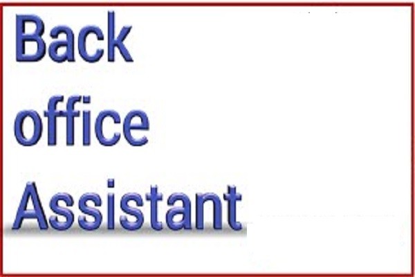 Work From Home Job For Back Office Assistant