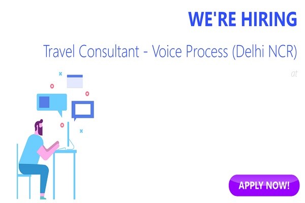 Work From Home Job For Travel Consultant