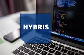 Recruitment for Hybris Senior Developer/Lead in WIPRO at Chennai, Kolkata, Hyderabad, Pune, Coimbatore, Bangalore, Delhi
