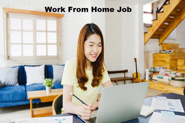 Need Data Entry Executive Work From Home