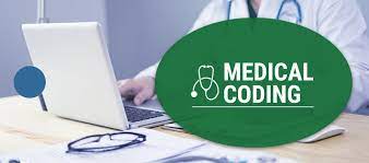 Looking for Medical Coders in Starwort Global Solutions at Bangalore
