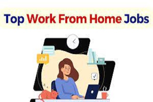 Earn Extra Income From Data Entry Operator