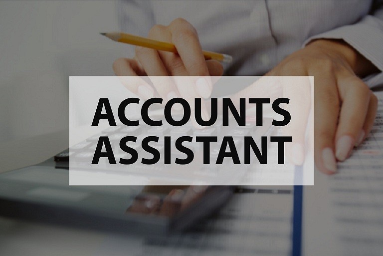 Huge Opening for Account Assistant in Kwality Milk Foods Limited at Chennai
