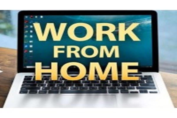 TransDyne IT Services Pvt. Ltd. Required For Work From Home Job