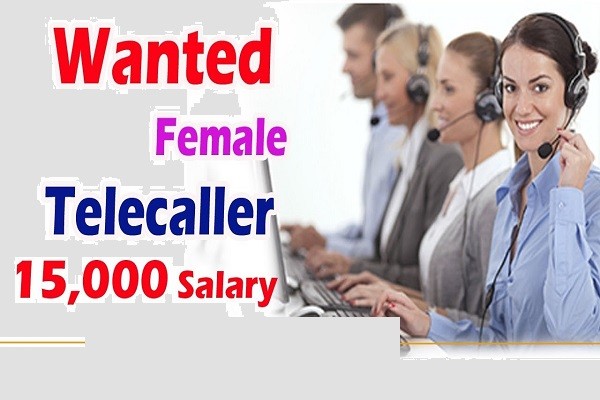 Tamil Female Tele Caller Executive Job At Chennai From Home