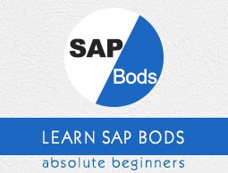 Great Opening for SAP BODS Developer in Randstad India Pvt Ltd at Mumbai