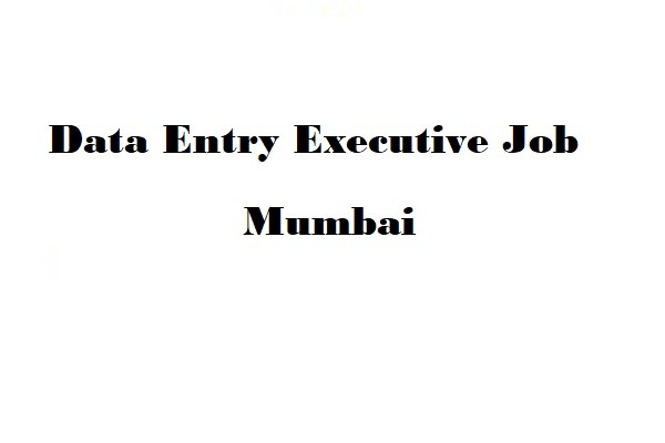 Need For Data Entry Executive