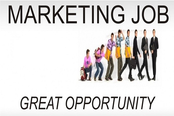 Job Offer For Marketing Executive From PPN Propmart LLP