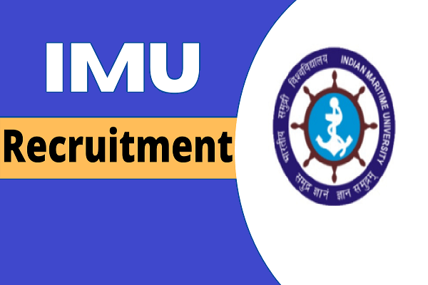 IMU Programmer - Information Technology (IT) - Section Manager Recruitment 2022