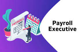 Looking for Payroll Executive in Geodrive Solutions Pvt Ltd at Delhi