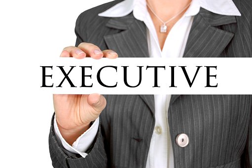 Recruitment for Executive in Plus91 Technologies Pvt Ltd at Pune