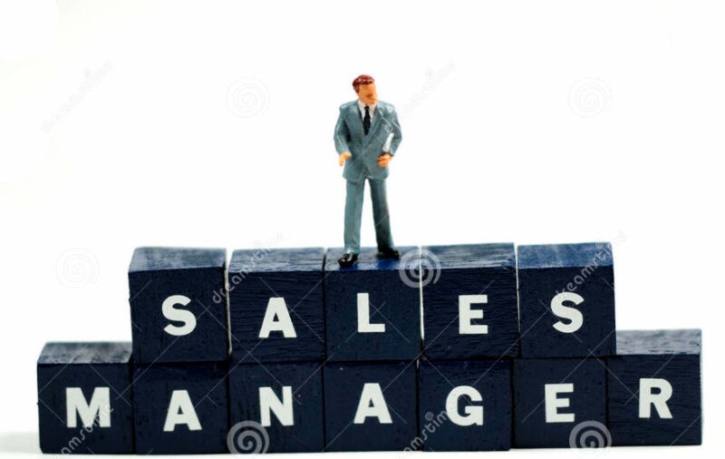 Hurry Up for Sales Manager in Randstad India Pvt Ltd at Pune