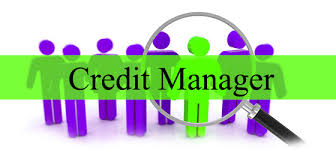 Job Vacancy for Area Credit Manager in Hdb Financial Services at Bangalore