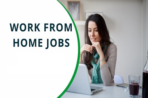 Earn Income From Home Data Entry Job