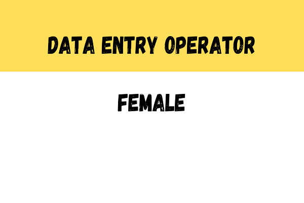 Wanted For Female Data Entry Operator in Chennai