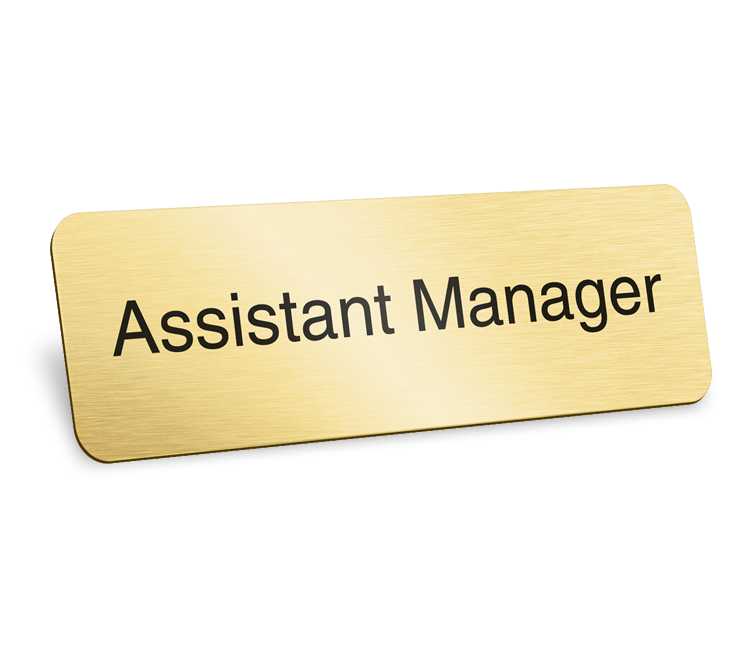 Job Vacancy for Assistant Manager in Save Financial Pvt Ltd at New Delhi