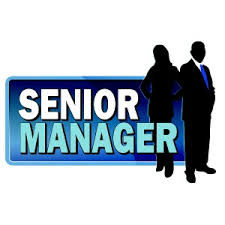 Work from home Opening for Senior Manager in imdNEX Consulting Services at Mumbai, Bangalore, Delhi